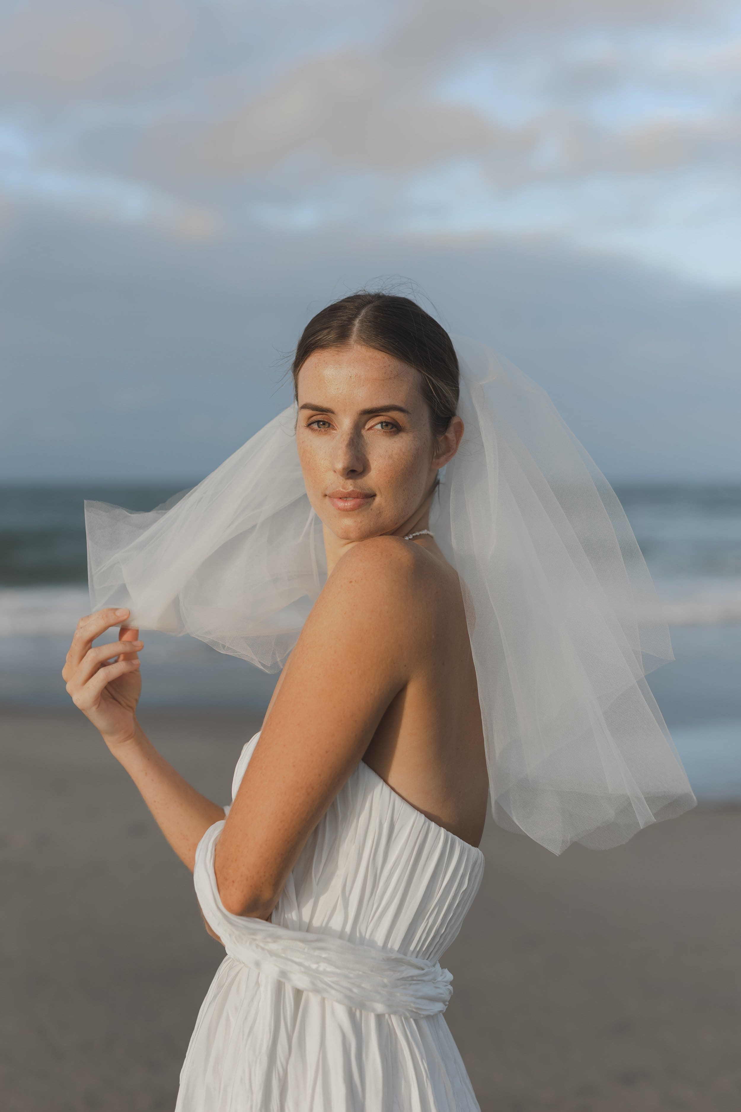 Noah Gown + Mini blusher veil.jpg